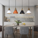 Vintage Industrial Pendant Light – Modern Loft Style